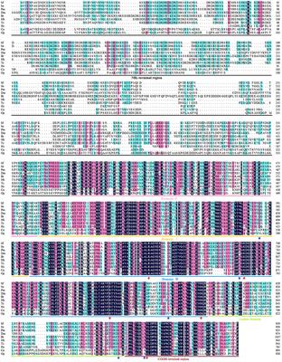 DNA Topoisomerase 1 Structure-BASED Design, Synthesis, Activity Evaluation and Molecular Simulations Study of New 7-Amide Camptothecin Derivatives Against Spodoptera frugiperda